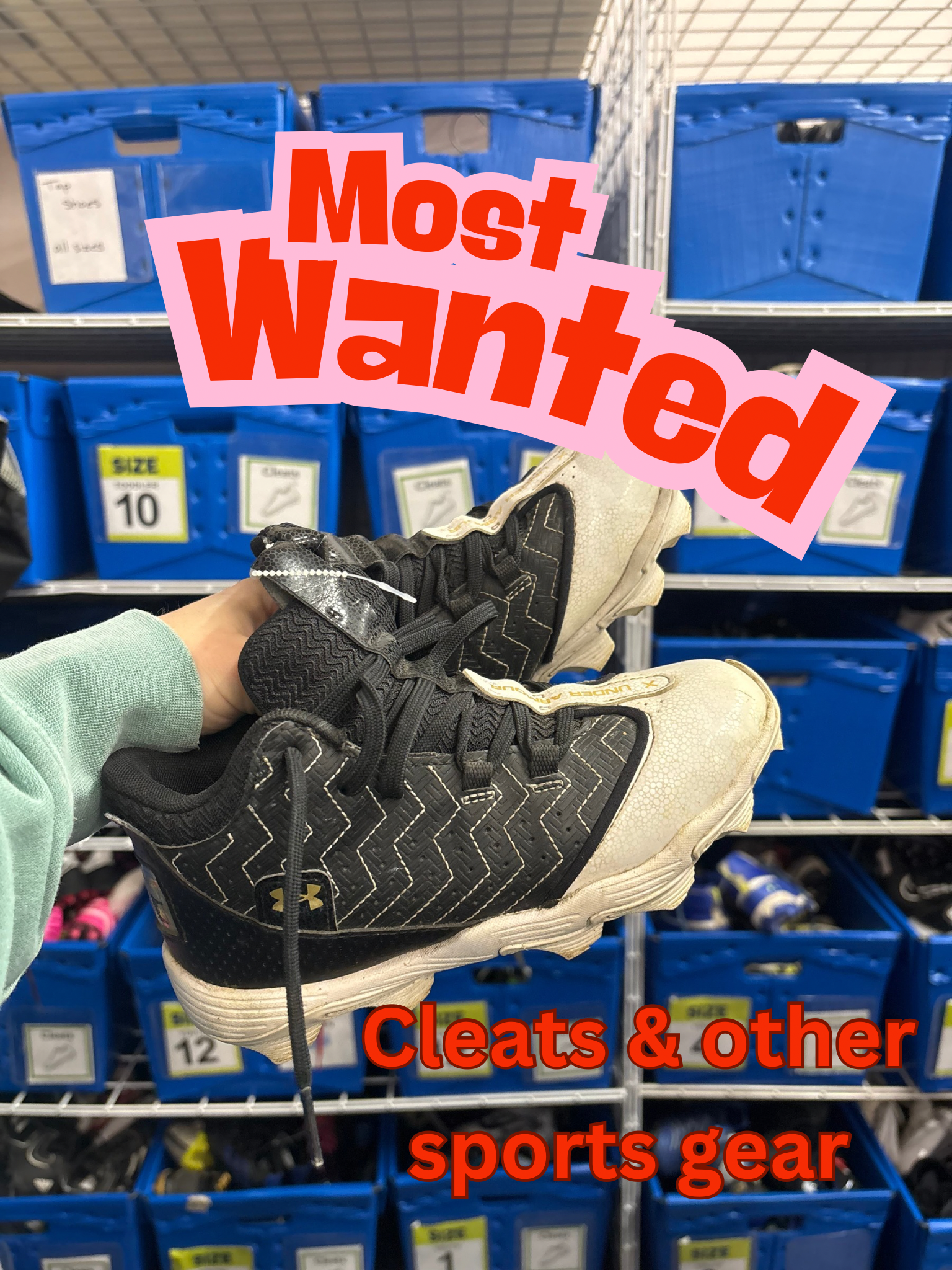 most wanted-sports
